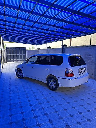 гулчо такси: Honda Odyssey: 2002 г., 3 л, Автомат, Бензин, Минивэн — 2