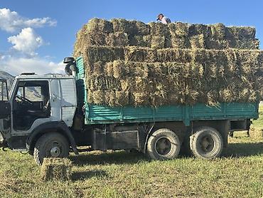 балон каток: КАМАЗ-самосвал с тентованными бортами для перевозки сена и — 2