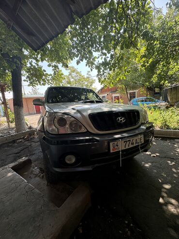 раф 4 2002: Hyundai Terracan: 2002 г., 2.9 л, Автомат, Дизель, Внедорожник