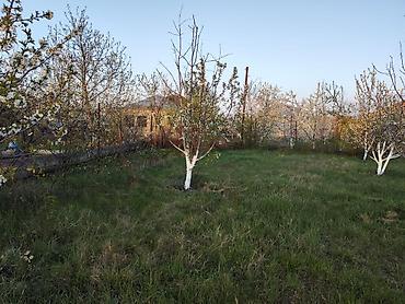 Torpaq sahələrinin satışı: 7 sot, Tikinti, Mülkiyyətçi, Kupça (Çıxarış) — 12