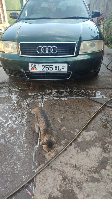 потолок ауди с4: Audi A6: 2001 г., 2 л, Вариатор, Бензин, Седан