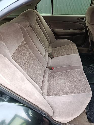 Nissan: Nissan Cefiro: 1997 г., 2 л, Автомат, Бензин, Универсал — 15