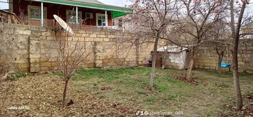 Həyət evləri və villaların satışı: Salam Ev satilır saray qəsəbəsində 3 sot və 3 otaq 4un 5e -da lalafo.az — 11 Həyət evləri və villaların satışı: Salam Ev satilır saray qəsəbəsində 3 sot və 3 otaq 4un 5e — 11