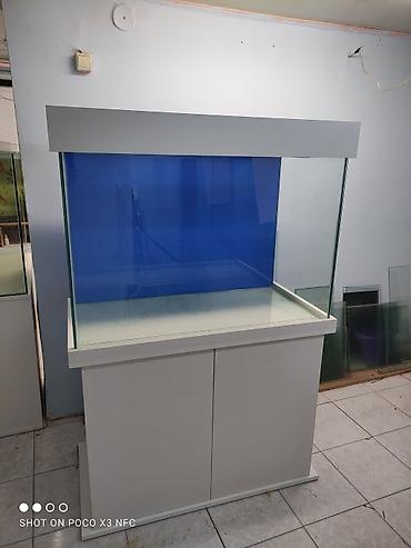 sobo wp 6001: Akvariumların və dolabların hazırlanması üçün müraciət edə bilərsiz — 2