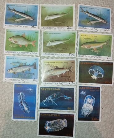 Markalar: Markalar biri 50 gepik — 4