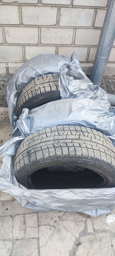 купить зимнюю резину бу на 16: Шиналар 195 / 50 / R 16, Кыш, Колдонулган, Комплект, Жеңил унаалар, Жапония, Yokohama