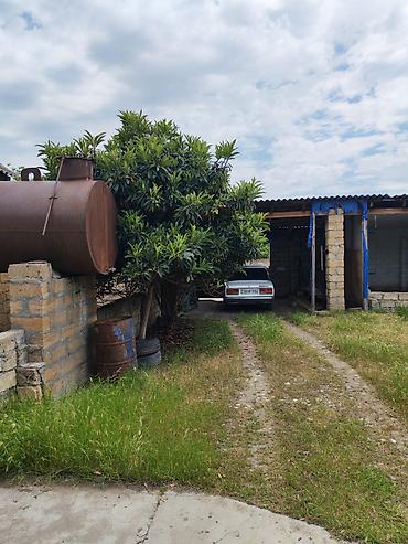 əmlak az: Satılır: Ferma satılır heyvandarlıq üçün təsərrüfat sahəsi və həyət — 2