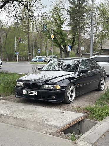 BMW: BMW 5 series: 1996 г., 4.4 л, Бензин, Седан — 7