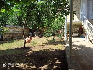 Həyət evləri və villaların satışı: 7 otaqlı, 180 kv. m, Kredit var, Orta təmir — 13