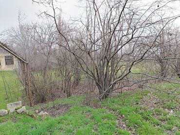 yol kənarı torpaq satılır: 30 sot, Tikinti, Mülkiyyətçi, Kupça (Çıxarış)