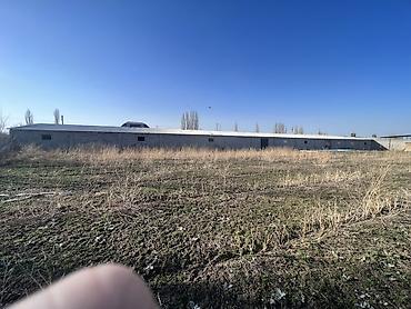 Продажа сельхоз предприятий: Сельскохозяйственные корпуса/сараи под фермерство Описание: - — 8