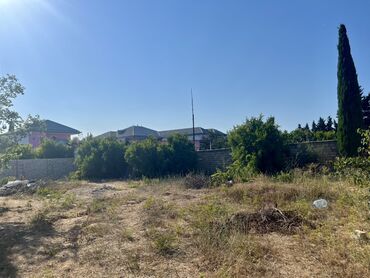 sumqayit seheri nasosnu qesebesi: 10 sot, Biznes üçün, Kupça (Çıxarış)