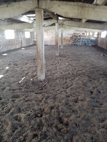 Сельхоз предприятия: Продаю Кошара, 50 соток, Действующий, Электричество, Канализация — 16