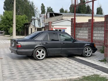 Mercedes-Benz: Mercedes-Benz W124: 1995 г., 3.2 л, Автомат, Газ, Седан