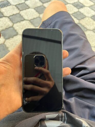 айфо 13: IPhone 13 Pro, Alpine Green