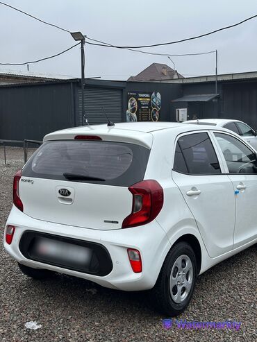 Kia: Kia Morning: 2019 г., 1 л, Автомат, Бензин, Хэтчбэк — 5