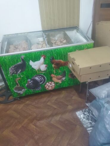 Biznes üçün program təminatı: Satılır qiymet 2 si bir yerde 1100