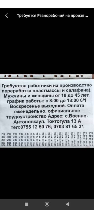 авто електрик на выезд: Требуются на работу мужчины и женщины. зарплата от 30тыс сом