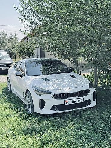 Kia Stinger: 2017 г., 3.3 л, Автомат, Лифтбек at lalafo.kg Kia Stinger: 2017 г., 3.3 л, Автомат, Лифтбек