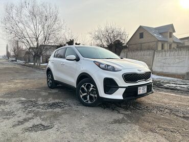 кия авто: Kia Sportage: 2020 г., 2.4 л, Автомат, Бензин, Кроссовер