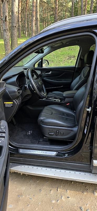 santa fe 2010: Hyundai Santa Fe: 2019 г., 2.2 л, Автомат, Дизель, Кроссовер — 7