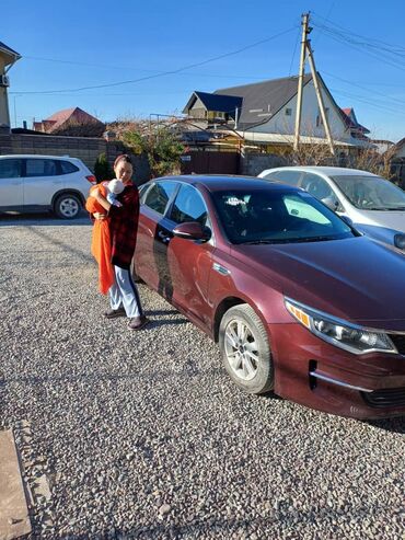 бак топливный: Kia Optima: 2017 г., 2.4 л, Бензин