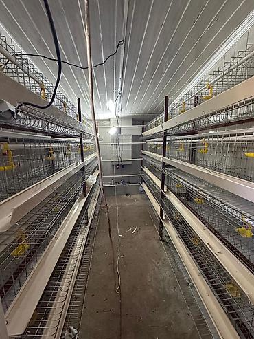 Продажа коттеджей и домов: 🏡 Продается 5-комнатный дом 150 м² с новым ремонтом 📐 Площадь дома — 23