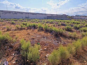 Torpaq sahələrinin satışı: 36 sot, Tikinti, Makler, Kupça (Çıxarış) — 9