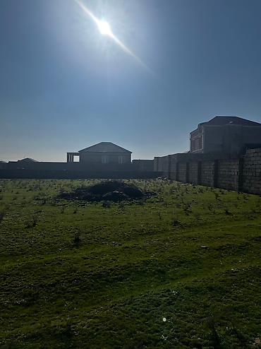 mehemmedli: 10 sot, Kənd təsərrüfatı, Barter mümkündür, Bələdiyyə, Kupça (Çıxarış) — 4