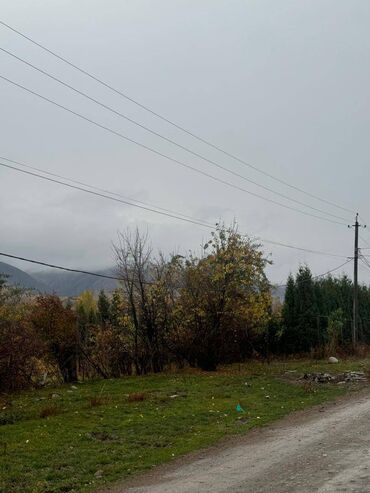 дом с озером: 30 соток, Бизнес үчүн, Кызыл китеп