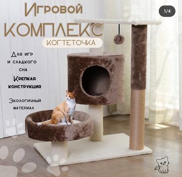 когтеточка для котят: Комплекс для котят и кошек 3 в 1 когтеточка+домик+лежанка Высота 75 см