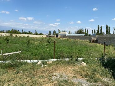 Torpaq sahələrinin satışı: Kənd təsərrüfatı, Mülkiyyətçi, Bələdiyyə, Kupça (Çıxarış) — 2