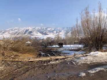 Продажа участков: 5 соток, Красная книга — 11