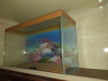 akvaryum aksesuarları: Dördbucaq akvarium, Boş, 10 l, Ünvandan götürmə — 2