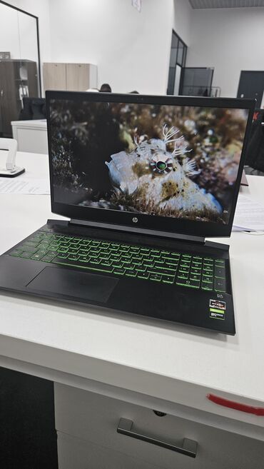gtx 1650 4gb: 💻 HP Pavilion Gaming 15 — ноутбук в идеальном состоянии 🔹