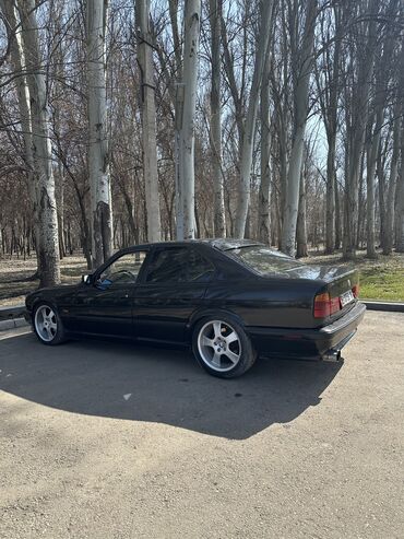 продаю бмв 318: BMW 5 series: 1994 г., 3 л, Механика, Бензин, Седан