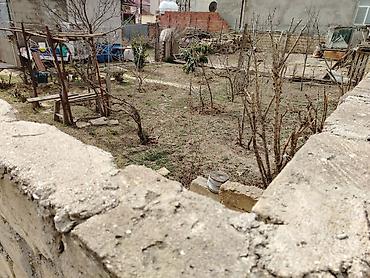 Torpaq sahələrinin satışı: Tikinti — 2