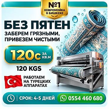 апарат от вшей: Стирка ковров, | Ковер, Бесплатная доставка — 1