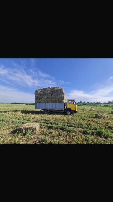 топливный бак на мерс 124: Mercedes-Benz Vario: 1986 г., 4 л, Механика, Дизель