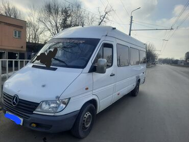 Mercedes-Benz: Mercedes-Benz : 2000 г., 3 л, Механика, Дизель, Бус