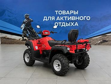 313: Квадроцикл Бензин, 500 куб. см, Взрослый — 5