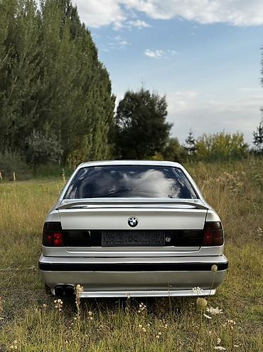 ск 8: BMW 5 series: 1993 г., 4.4 л, Механика, Бензин, Седан — 4