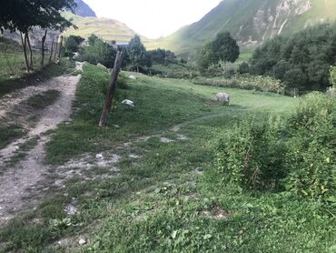 Torpaq sahələrinin satışı: 5 sot, Tikinti, Maklerlər narahat etməsin, Kupça (Çıxarış) — 5