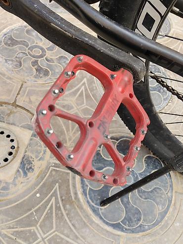 velo strim: Yüngül və dözümlü 29 velosipedir, Həm kuryerlik işi, həm də gündəlik — 8