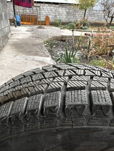 купить шины максис в бишкеке: Шины 195 / 65 / R 15, Зима, Легковые, Kapsen