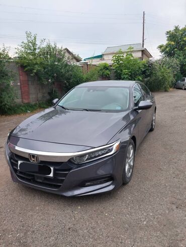 машина хонда жаз: Honda Accord: 2019 г., 1.5 л, Автомат, Бензин