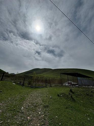 на ферму: Farm КРС, 270 соток, Действующий, Частично с оборудованием, Электричество, Скважина — 6