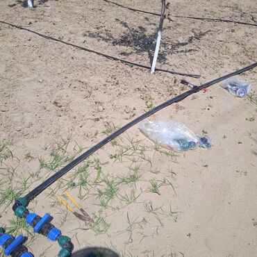 Bağbanlar: Profesional bağban xidməti ağac və kolların əkilməsi budanması -da lalafo.az — 28 Bağbanlar: Profesional bağban xidməti ağac və kolların əkilməsi budanması — 28