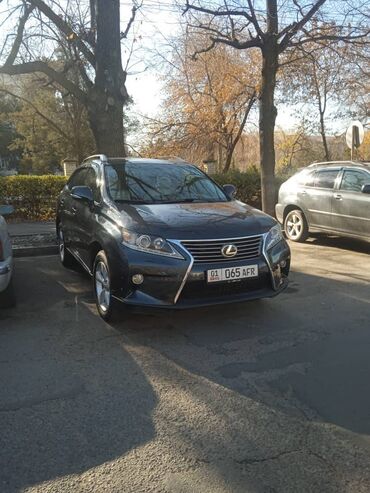 Lexus: Lexus RX: 2009 г., 3.5 л, Автомат, Бензин, Кроссовер