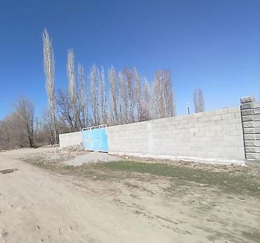 ысык куле: 5 соток, Курулуш, Кызыл китеп — 1